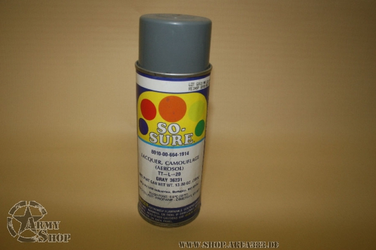 GRAY 36231 spray can