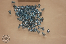 hex cap GR 5 Zinc QTY :100
