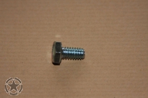 hex cap GR 5 Zinc QTY :100