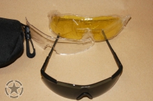 ESS ICE 2.4 Eyeshield