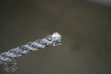 REO M35 Army Truck String