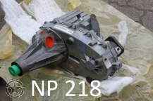 T-Case NP218
