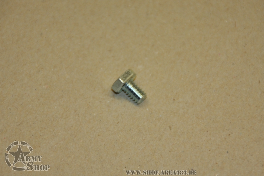 Befestigunsschraube am Radbremszylinder