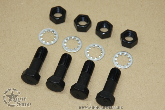 Befestigungsschrauben Schwungscheibe Motor (F)