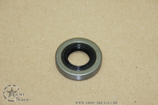 Simmerring CTIS Eingang Radnabe