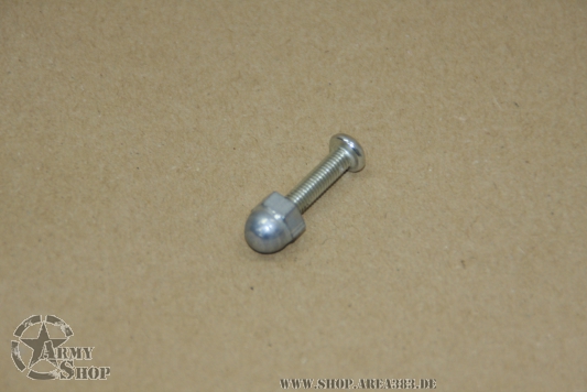 Schraube  am Scheibenrahmen innen