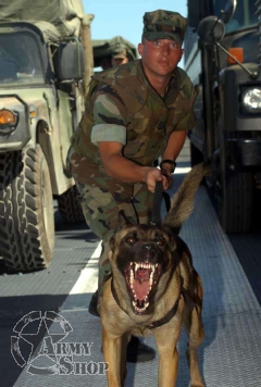 US ARMY Collar DOG