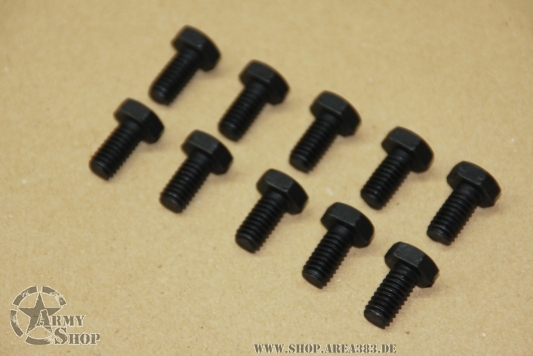 Schraubenset Differentialdeckel (Set 10 Stück)