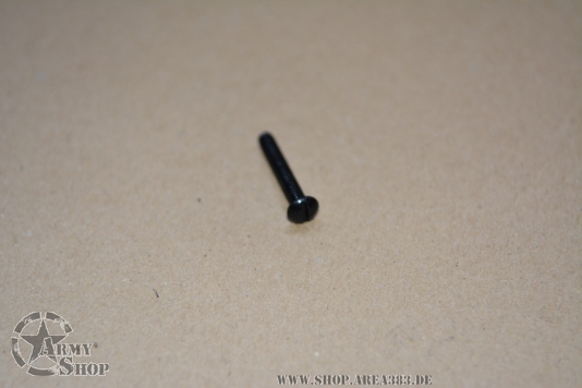 Befestigunsschraube Rücklichtdeckel  (Schwarz)