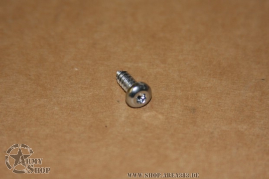 torx screw cover