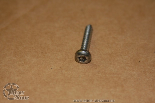 Torx screw