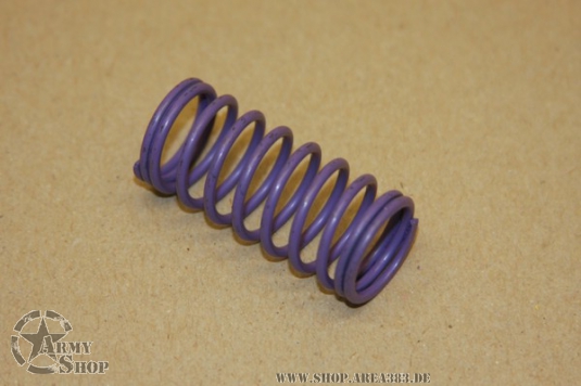 Feder Ölpumpe 4L80E