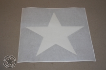 Lackierschablone Stern 10