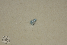 Schraube Schwimmergehäuse Carter Vergaser