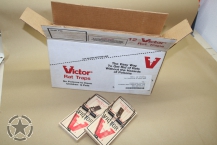 1 Karton USA Army Rattenfallen ( 12 Stück)