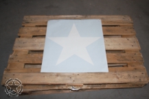 Decal STAR 19,5
