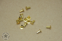 Messing Nieten für Data Plates ( Set 12 Stück)