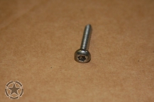 Torx screw