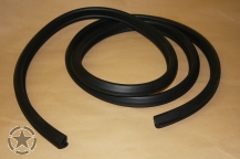 Dichtung Hardtop Vorne