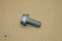 Ölwannenschraube 4L80E